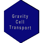 gravitycelltransport